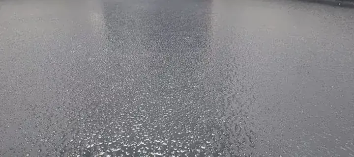 Decorative flake epoxy floor finish