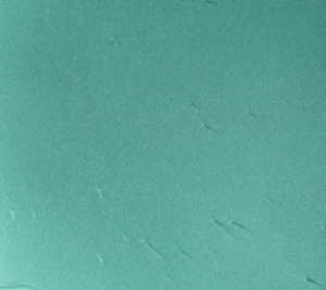 aqua