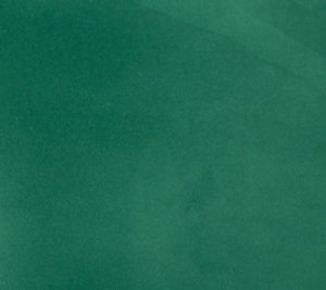 blackishgreen