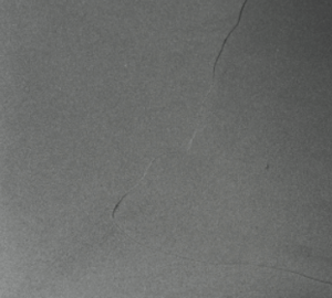 charcoal