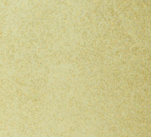 goldchameleon