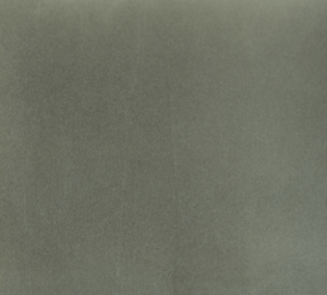 silvergrey