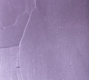 violetpassion